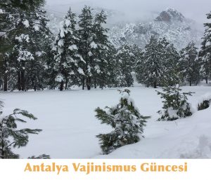 antalya vajinismus